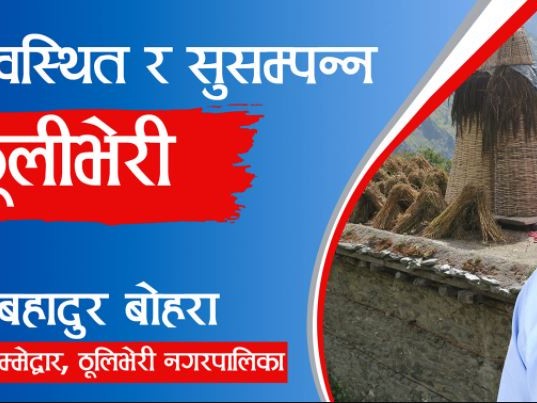 ठूलीभेरीको मेयरमा युवा नेता बोहराको उम्मेद्वारी घोषणा